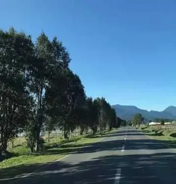 Parcelación Ecológica Alerce Escondido (170115)
