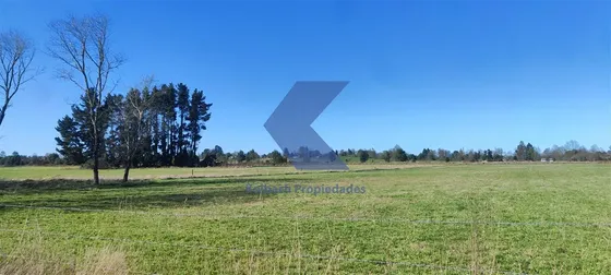 Espectacular Ganadero Terreno En Venta En Río Bueno