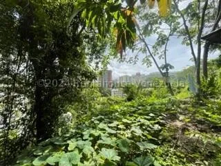 Terreno En Venta En Santa Inés Mls 24-28529 Yf