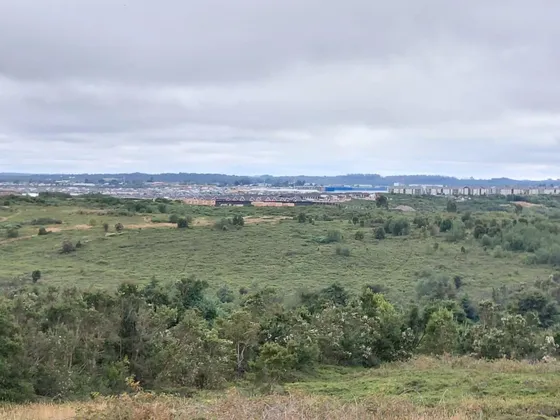 Venta Agrícola Puerto Montt