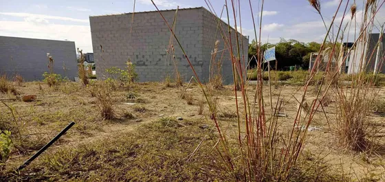 Lote En Venta Sector La Romelia El Pollo Dosquebradas (279060553).