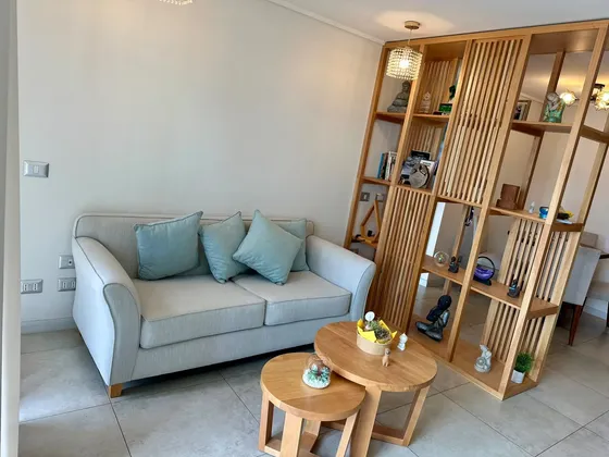 Hermoso Y Moderno Departamento 2d, 2b, 1e, 1b, Ñuñoa.