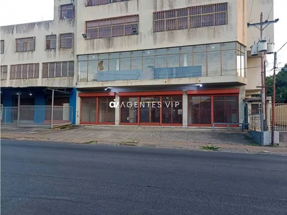 Las Cocuizas