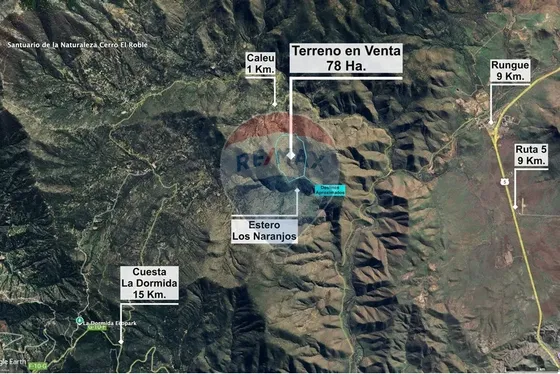 Para Inversionistas 78 Hectáreas En Valle De Caleu