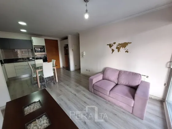Amoblado: Departamento 2d+2b + Est+bod Excelente Ubicación