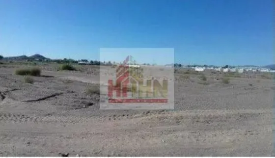 Sonora Caborca Terreno Venta