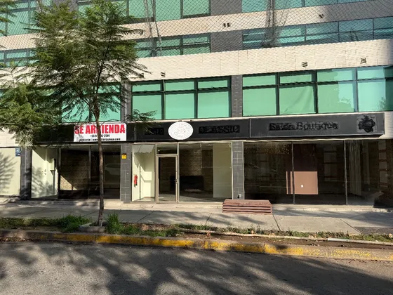 Local A Pie De Calle Linneo A Pasos De Metro Manquehue