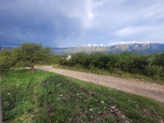 Terreno En Venta En Las Rabonas