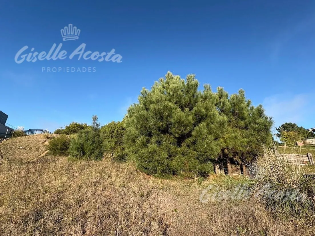 Lote En Venta. Costa Esmeralda. Senderos Iii