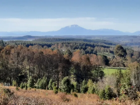 Hermosa Parcela Vista Al Volcan