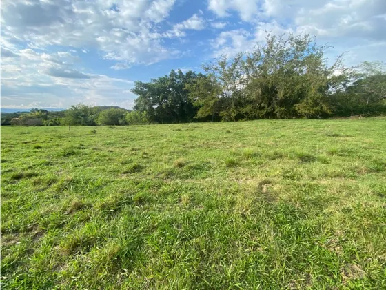 Lotes Desde 1.500m2 Hasta 2.540m2 En Venta La Buitrera Palmira Valle