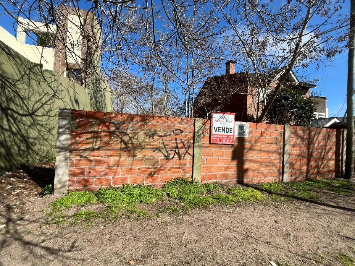 Lote En Avenida, Con Gran Potencial.