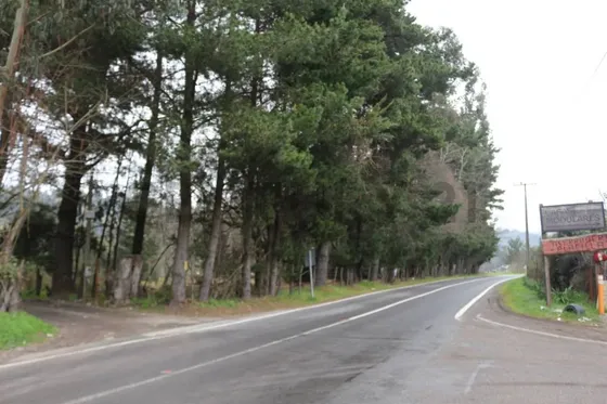 Amplio Terreno Para Inversión, Gran Ubicación Y Bosque Co...