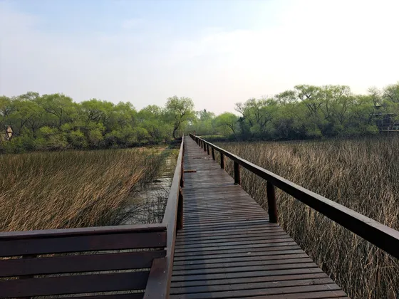 Terreno En Venta En Islas Del Delta De Tigre 