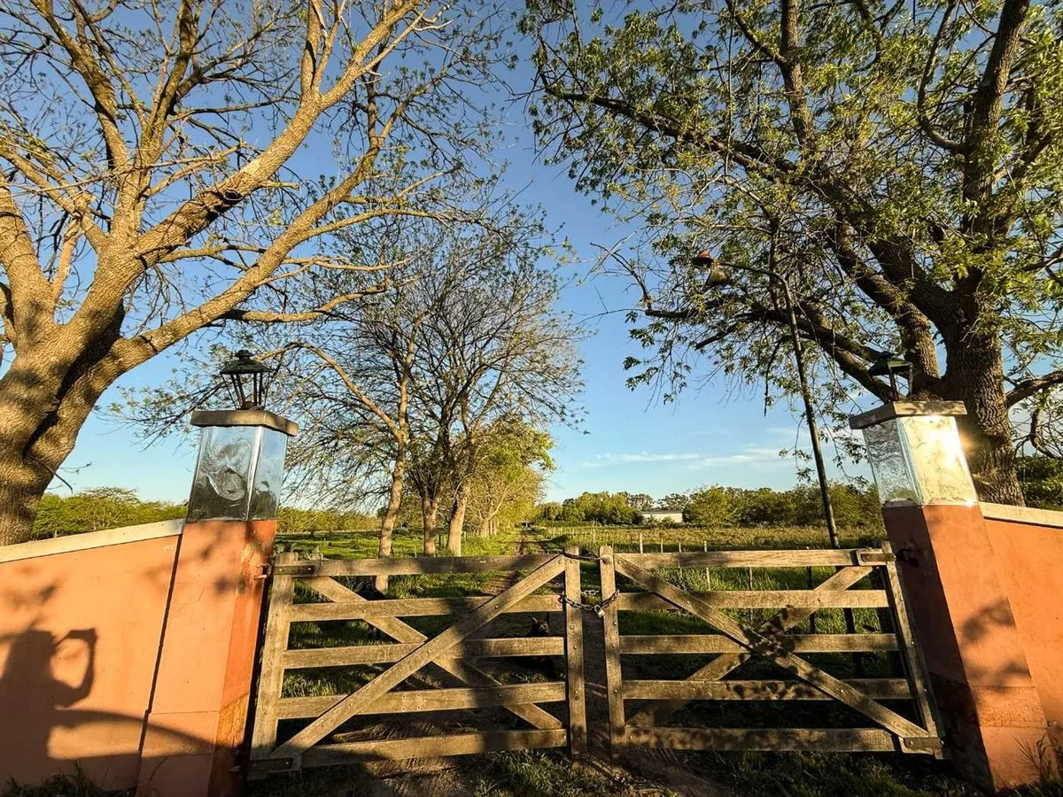 Farm for Sale in Los Hornos – House and Swimming Pool