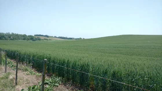 Campo En Venta En Chapadmalal
