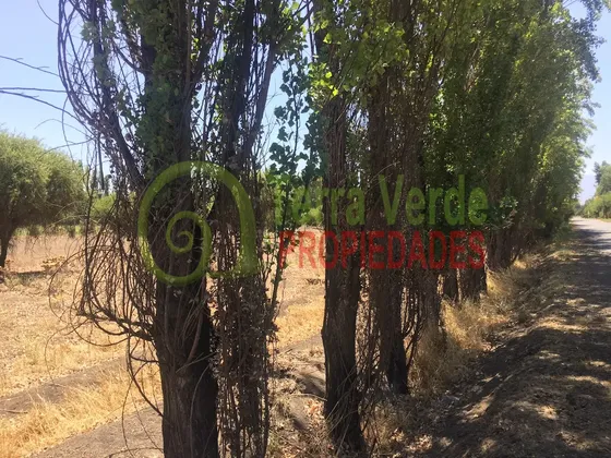 Oportunidad Terreno En Santa Rosa