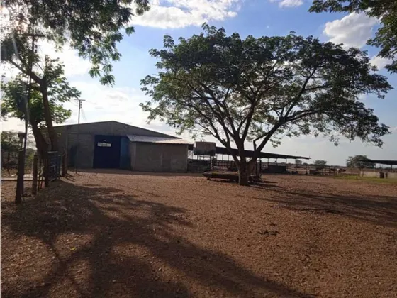 Finca 303 Hectáreas En Guárico, Vía Santa Rita.