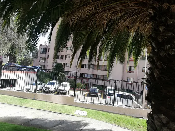 Arriendo Departamento Amoblado Jardín Del Mar