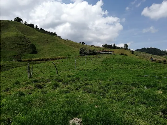 Finca Para La Venta En La Unión Antioquia 35 Cua. 22 Ha