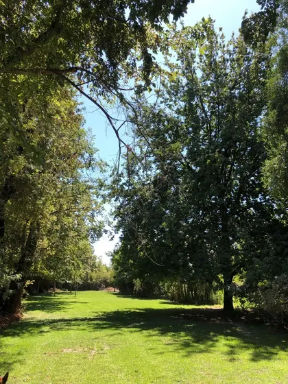 Espectacular Propiedad En Exclusivo Parque Las Majadas De Pi