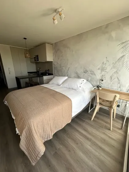 Lindo Depto Tipo Estudio En Ñuñoa