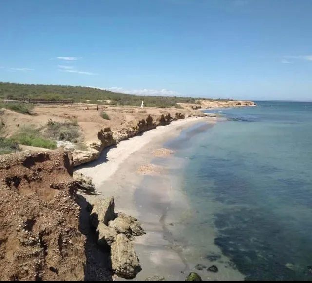 Venta De Terreno En Taguantar, 20.000 Mt2, Vista Directa Al Mar Con Proyecto Aprobado