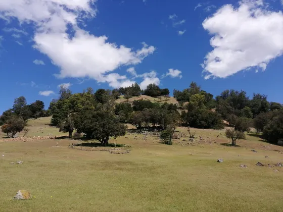 Se Vende Terreno (media Hectárea) En Curico, Comalle 