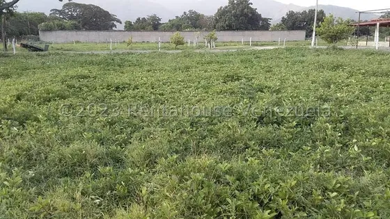 Excelente Oportunidad De Invercion Terreno En Venta, En San Diego, Buena Ubicacion A Pie De Calle , 6.000 Mts, Terreno Plano , Cercano Comercios, Farmacias ,colegios, Universidades, Uso Residencial 