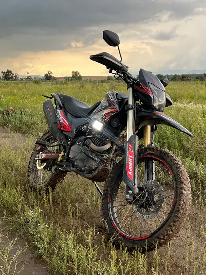 Dm 300 Crosmax 300