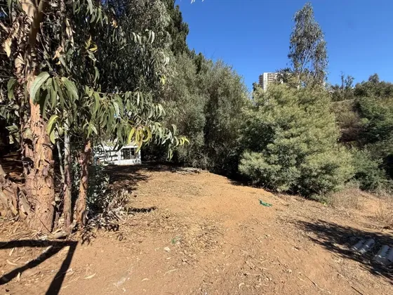 Oportinidad De Terreno En Reñaca Alto Norte