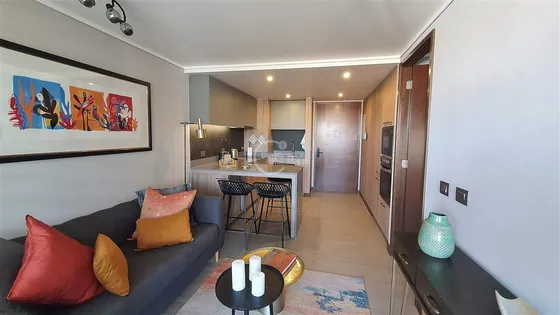 Departamento En Arriendo De 1 Dorm. En Providencia