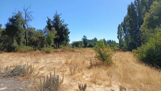 Vendo Parcela Camino Cerro Colorado 