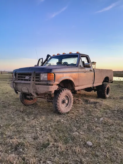Ford F-250 D