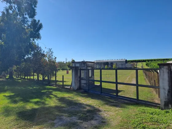 Galpon 1000 M2 + Planta Fraccionadora En Tucuman