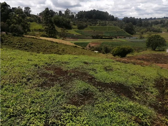 Lote En Venta Sector La Primavera, En Marinilla 