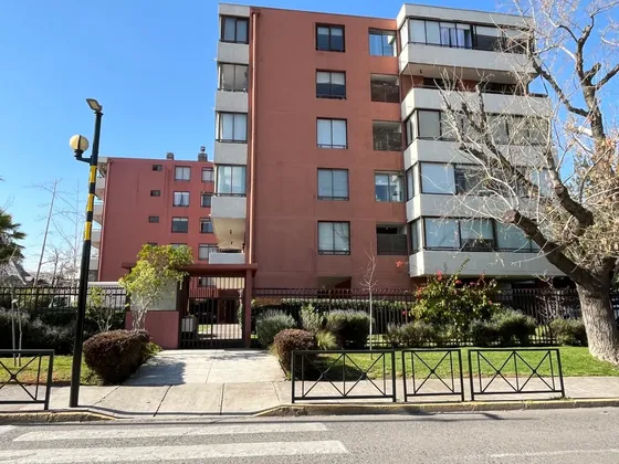 Lindo, Último Piso. Holanda/ Diego De Almagro