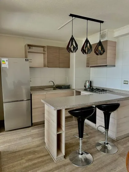 Precioso Departamento Amoblado En El Centro De Concepción!