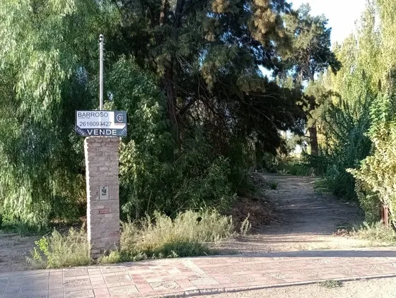 Venta De Lote, Ruta Provincial 34, Lavalle, Mendoza.