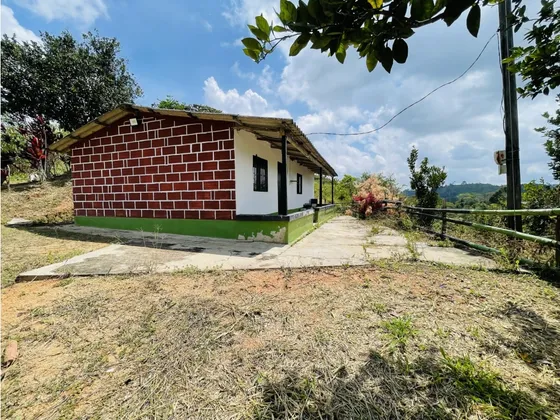 Venta De Finca Campesina En San Roque, Antioquia.