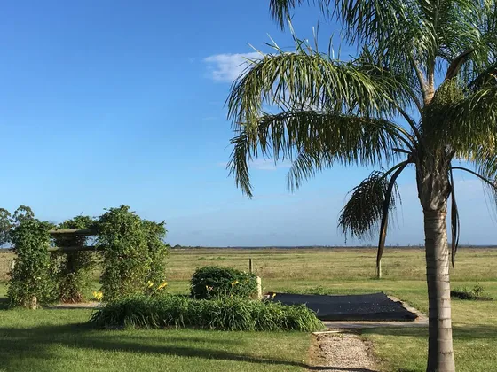 Campo - Otras