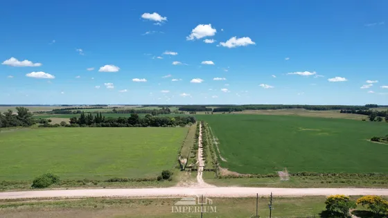  Venta De Campo Agricola Ganadero En Durazno: Oportunidad Única Con Financiación Disponibile 