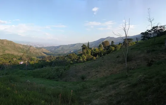 Venta Lote N° 1 En Parcelación Campestre Dapa