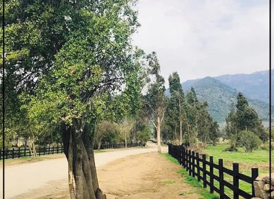Venta Parcela 5000mts Pelequen