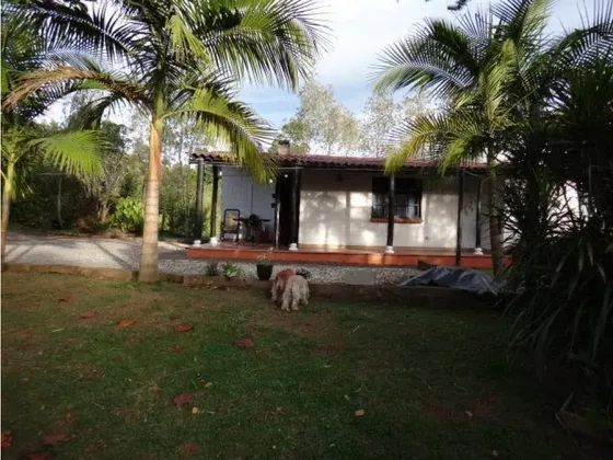 Linda Finca En Venta Rionegro 