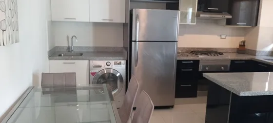 A176 - Apartamento Amueblado En Piantini, Distrito Nacional, República Dominicana | $1,000 Usd #foxpiantini