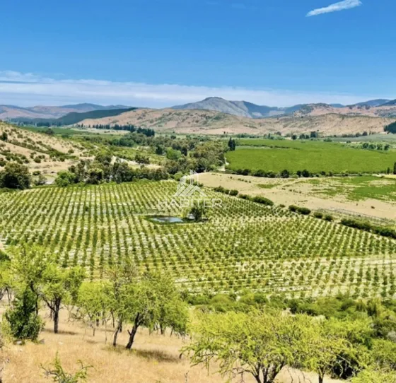 Agrícola En Venta En Pencahue
