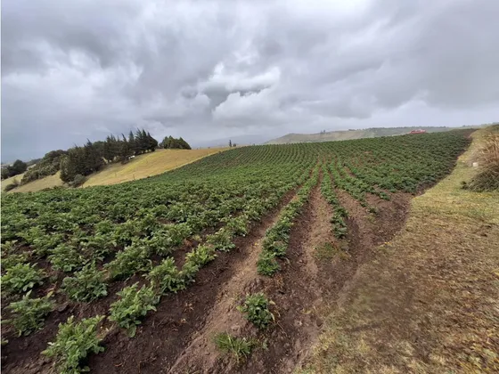 Venta De Lote En Chivata - Boyaca