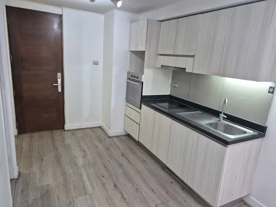 Depto Moderno 1d+1b Disponibilidad Inmediata (177115)