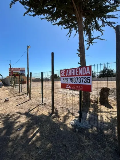 Local Comercial En Arriendo En Coquimbo, Pan De Azúcar